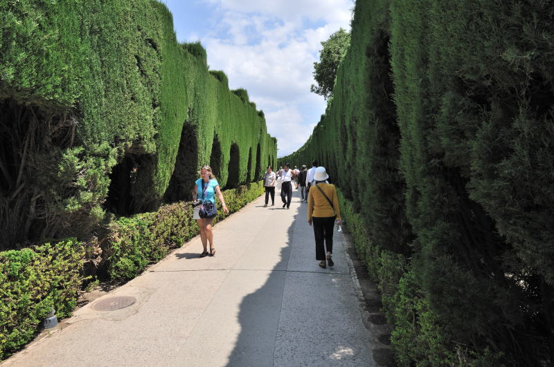 ���荞�܂ꂽ�����̕��؂�����A���A���ʂ�[Calle Real]