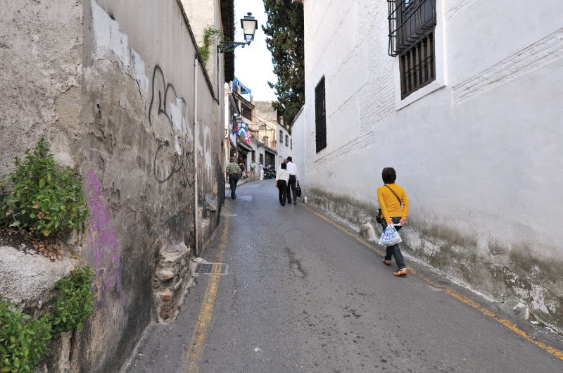 �T�N�������e�ʂ�[Camino del Sacromonte]