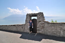 レマン湖の北岸に広がるラヴォー[Lavaux]地区のブドウ畑